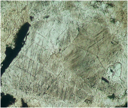 planar fractures cleavage quartz Ries crater